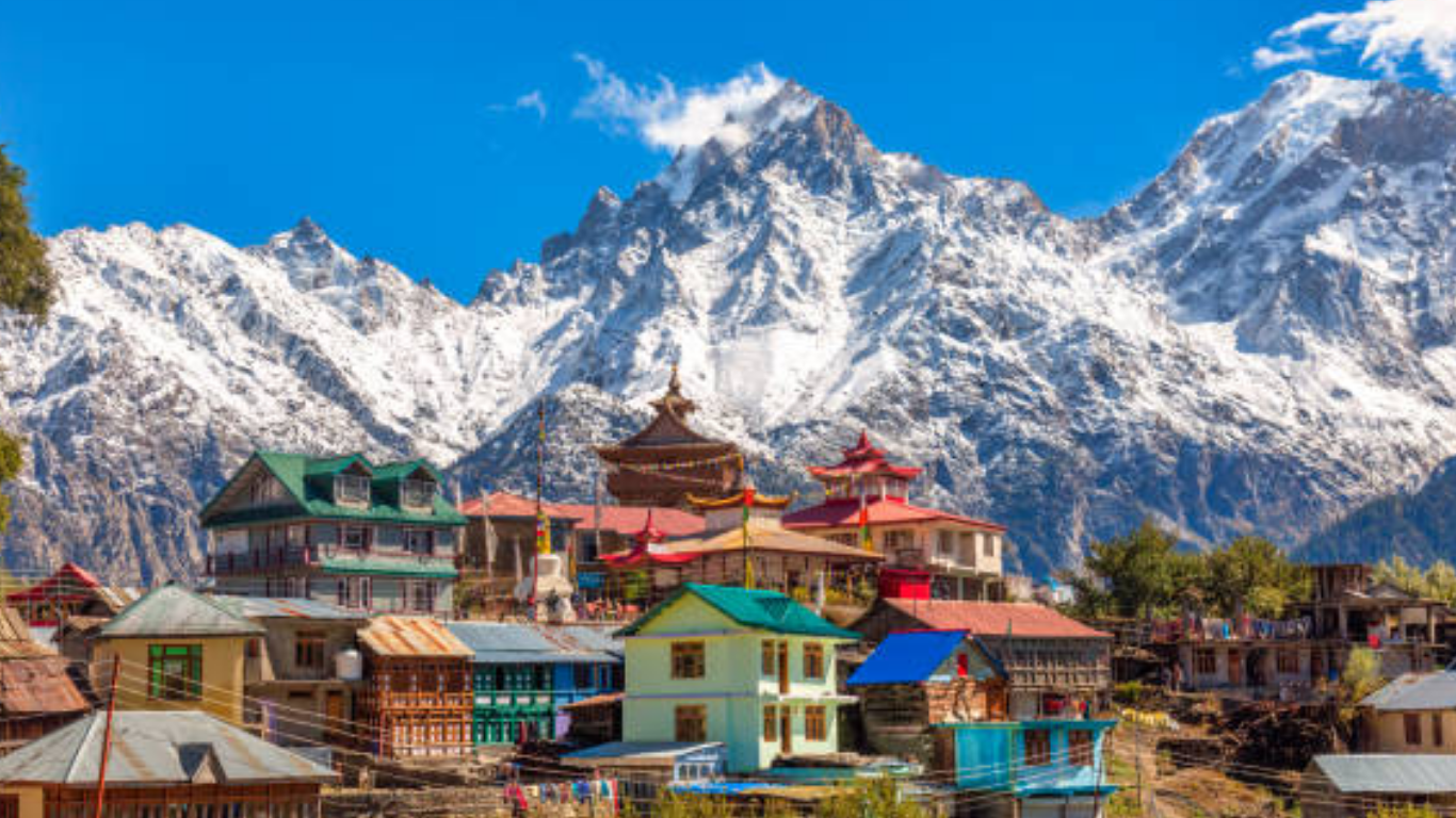 untitled design (13)